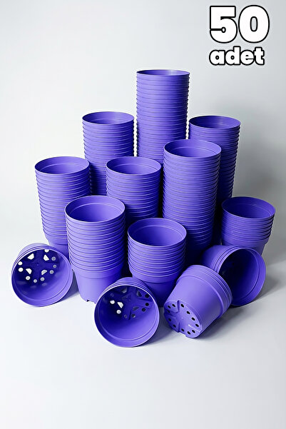 Tekpar Kaktüs ve Sukulent Saksısı Bol Drenaj Delikli 8.5 cm çap Lila 50