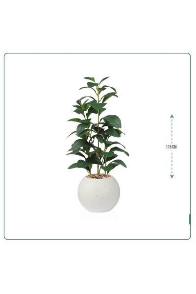 SADANHOME Green lemon leaf seedling in a 115cm plastic pot