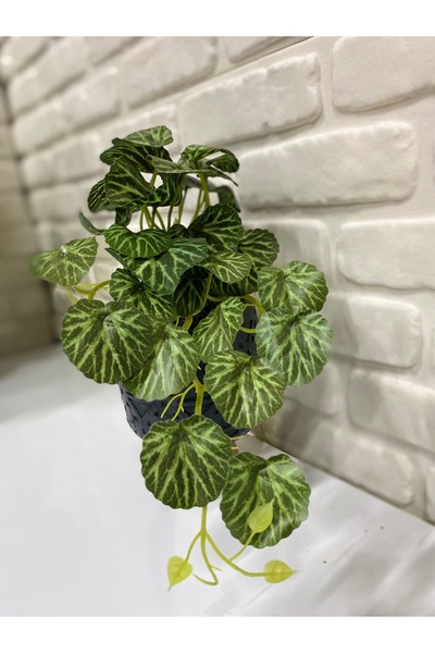 çiçek rengi dekor Artificial Veined Round Leaf Hanging Plant – Green Decorati...
