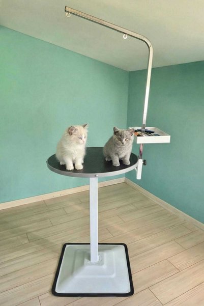 Kozmobed Pet Bakım ve Veteriner Muayene Masası (Küçük Irk )