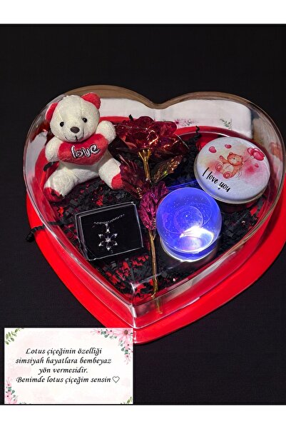 Lapidaria Sevgililer Günü Kalp Kutu, Satürn Cam Küre , Metal Kutuda Kokulu Mu...