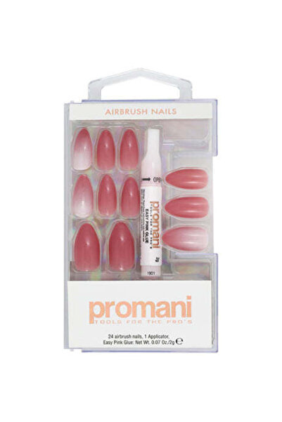 Promani REP PR-5654 AIRBRUSH DRIED ROSE NAIL KIT