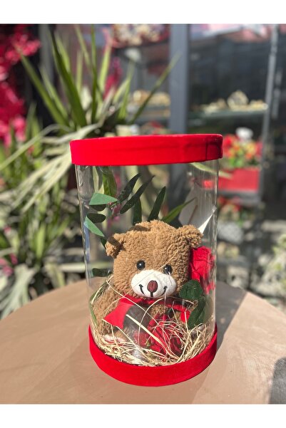 Tasarım Silindir Kutuda Ayıcık Modeli