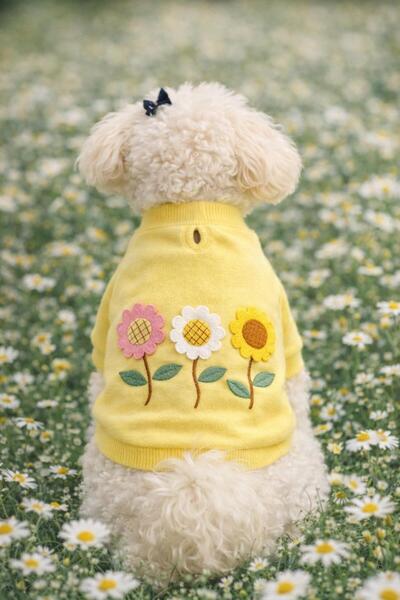 GedyCo Daisy Yellow Small Breed Dog Sweatshirt with Fleece Inside
