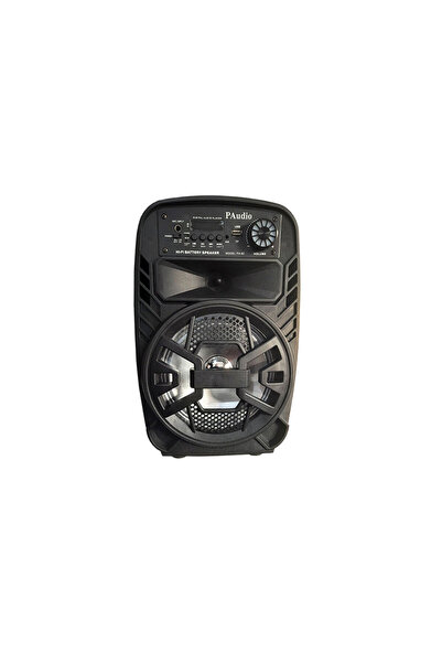 ALIEN Incinta activa 8inch ABS USB/SD/FM/BT/ACCU PAudio