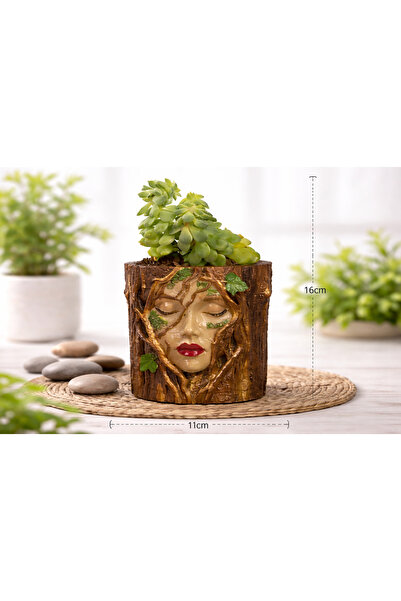 barsdepo Doğal Ağaç Kız Figürlü Sukulent & Çiçek Saksısı – Dekoratif Tasarım ...