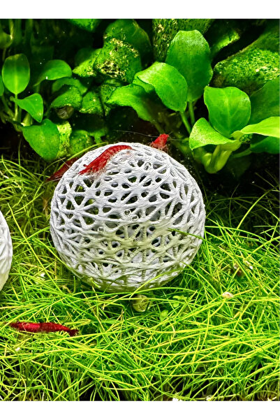 barsdepo TOP KARİDES SAKLANMA MAĞARASI