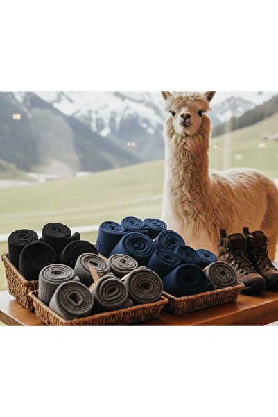 freyzi Alpaka Tipi Kalın Kışlık Pamuklu Çorap 5 Çift