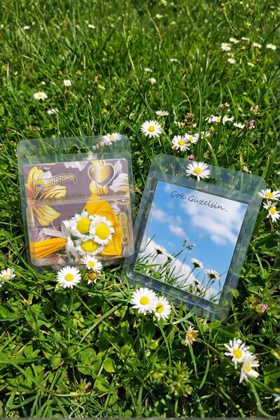 Gorgeous Minik Buket Hotter Flowers Yapay Papatya Buketi Kız Arkadaşa Hediye ...