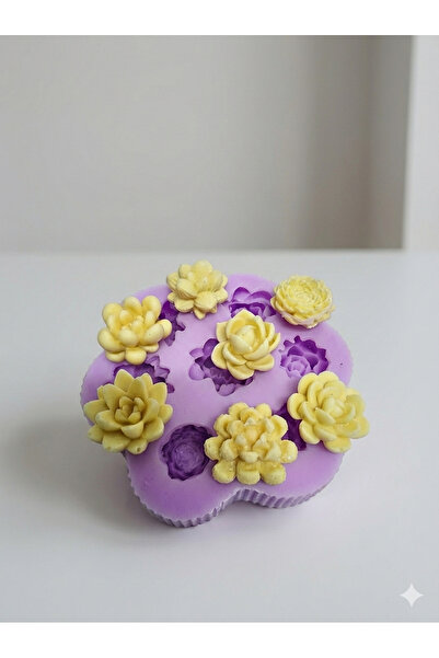 Liva Çoklu Sukulent Mum Sabun Silikon Kalıp