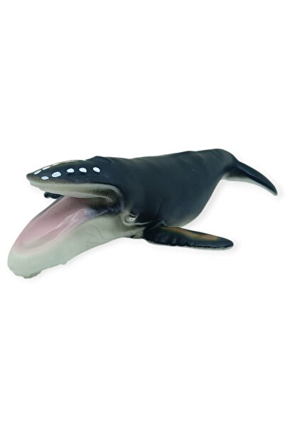fantastik store Deniz Hayvanları Serisi - Kambur Balina 30 cm (Lisinya)