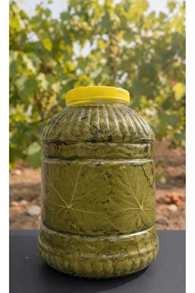 Egenin Yeşili Salamura Yaprak