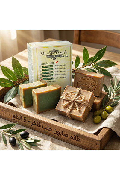 Anatolia Soap Mesopotamia 10% Laurel Extract Genuine Aleppo Soap 5-Pack (5X20...