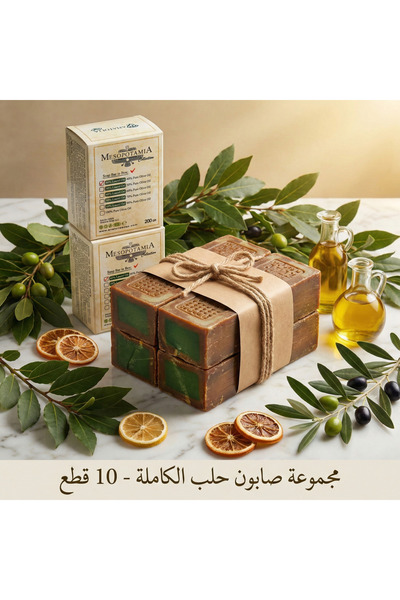 Anatolia Soap Mesopotamia 60% Laurel Oil Aleppo Soap Eco Pack of 10 (10X200G)...
