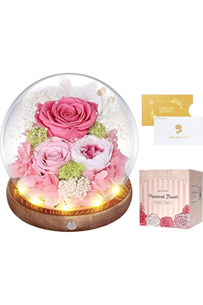 Generics ورود محفوظة في قبة زجاجية مع إضاءة LED