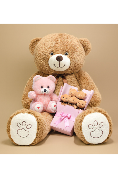 Pababo Aşk Dolu Hediye Seti – 120 cm Dev Peluş Ayı, 25 cm Peluş Ayıcık ve Pel...