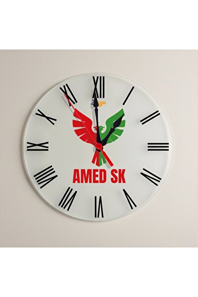ZERYA ساعة حائط بتصميم أميدسبور - ساعة حائط بأرقام رومانية من أميد سبور