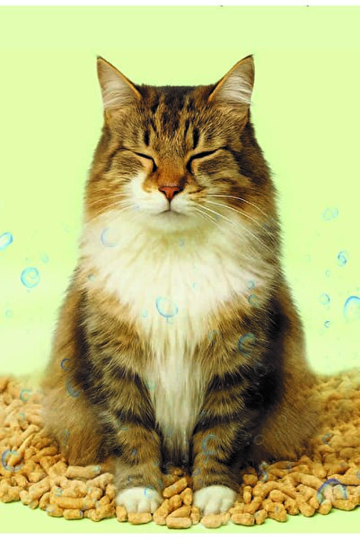 TEMKOM KARBONAT Katkılı %100 Doğal Çam Peletinden Kedi Kumu 6mm 10KG 16L