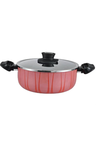 MISTERCOOK Non-Stick Pot with Steel Lid 22 cm