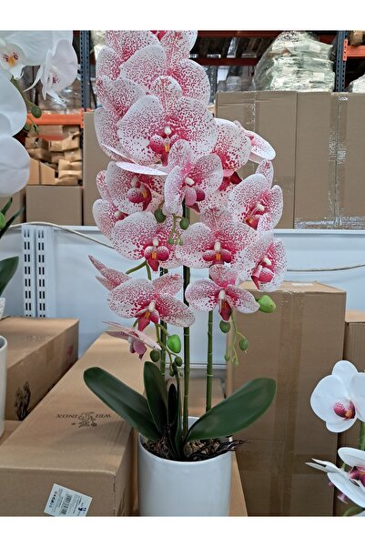 Abasic Artificial flowers in ceramic pot orchid wei a-80811