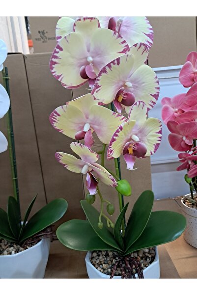 ABAZAR Artificial flowers in ceramic pot orchid wei A-80100