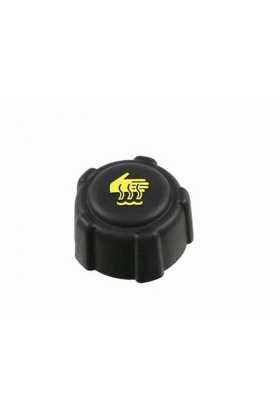 Acik Auto Parts AAP RENAULT MEGANE 2- 3 FLUENCE LAGUNA KANGOO YEDEK SU DEPO K...