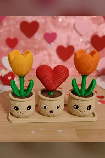 Genç 3D Kalp ve Lale Dekoratif Masaüstü Obje | Heart and Tulip Plant Decor | ...