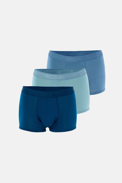 Dagi Light Blue-Blue 4210 3-Piece Patterned Micro Modal Boxer