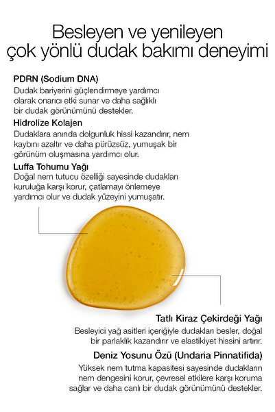 PROCSIN PDRN Lip Oil 11 ML