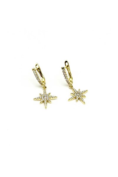 Twenty Eight Polar Star Steel Earrings