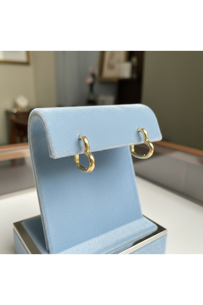 Mira Glam Heart earrings