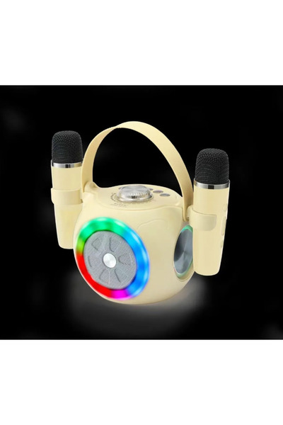 OEM Karaoke Speaker with 2 Wireless Microphones, RGB Lights, Bluetooth 5.4 – ...