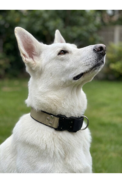 balkonda Dog Collar Adjustable Large Breed Special Locking 3.5 cm Wide Column...