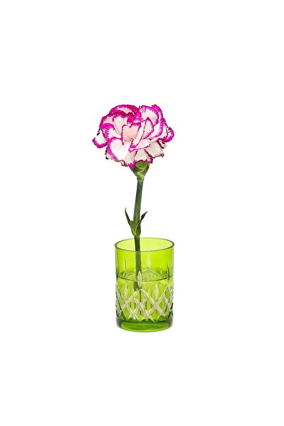 Missi Flora Design- Minimal Green Cut Glass Vase
