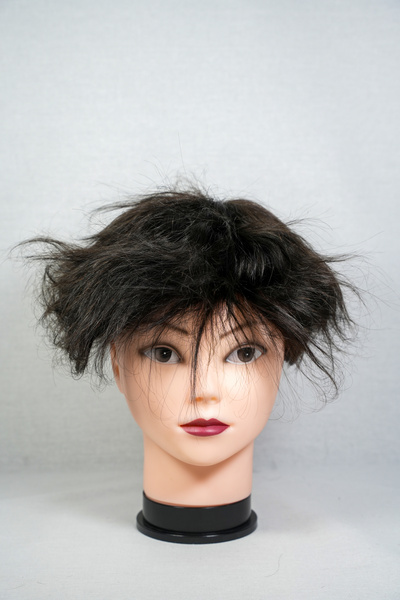 Number One Hair HOLLYWOOD 6X8 1B