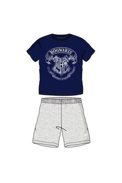 Jorg Harry Potter Short Pajamas for Kids Gray/Blue 8 Years