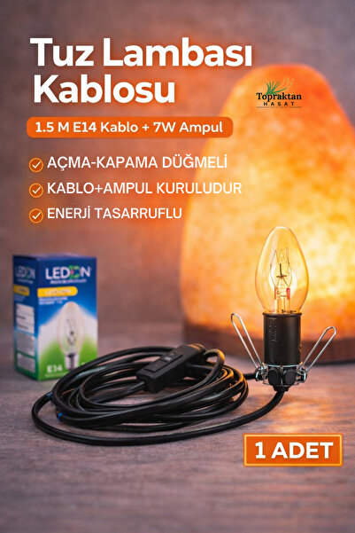 topraktan hasat odağında lezzet gizli Tuz Lambası Kablosu 1.5 Metre E14 Duy A...