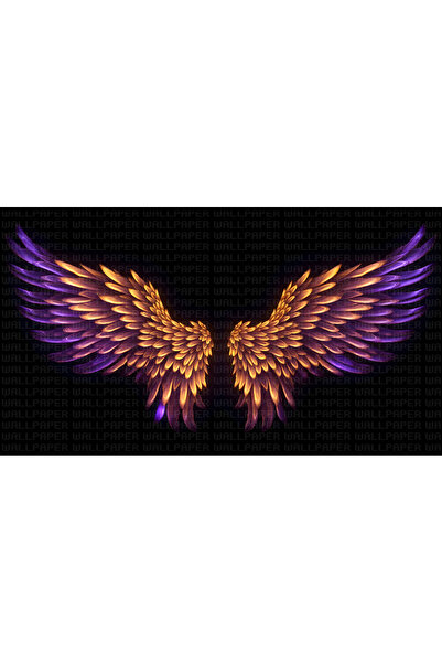 Arterior Wallpaper Büyük renkli kanatlar poster duvar kağıdı