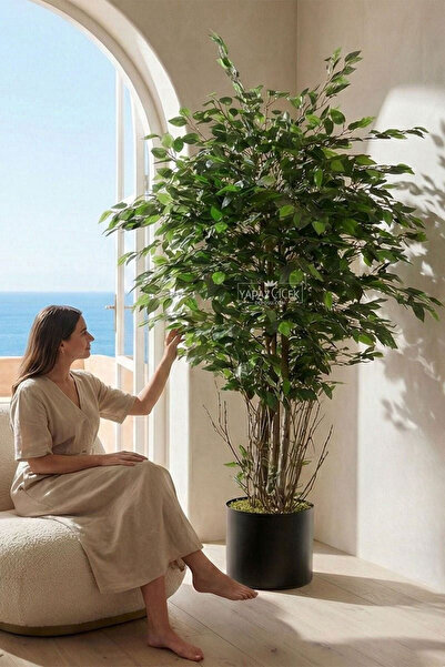 Yapay Çiçek Deposu Fiber Saksıda Yapay Benjamin Ağacı 180 cm