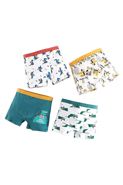 Styli Pack of 4 - Boys Printed Cotton Boxers