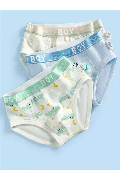 Styli عبوة من 3 قطع - سراويل داخلية قطنية مطبوع للأولاد