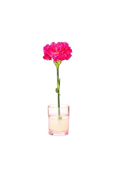Missi Flora Desing-Minimal Pink Glass Vase