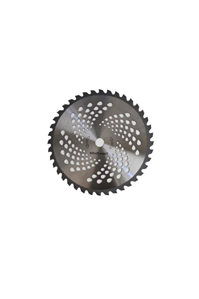GDM DISC PENTRU MOTOCOASA NR 12 300 X 40T CU VIDIA CRAFT TEC MX488