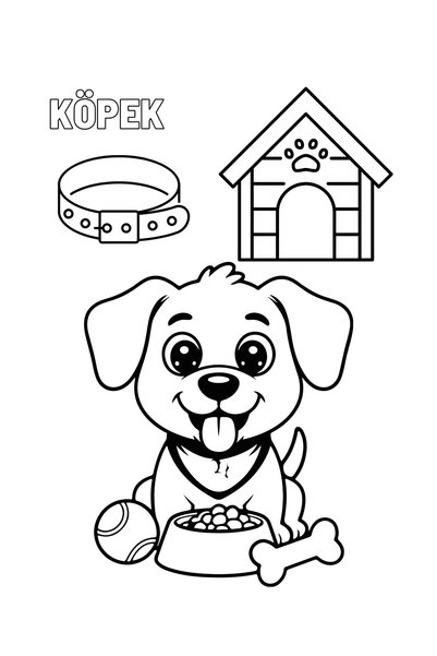 DK Çocuk Colors Forest - 3-6 Years Old Large Illustrated Tutorial Educational Animals Coloring Book