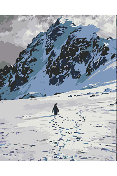 wombhobby nihilist penguenin yolu 3 40x50 cm Çerçeveli (Kasnağa ) Gerili