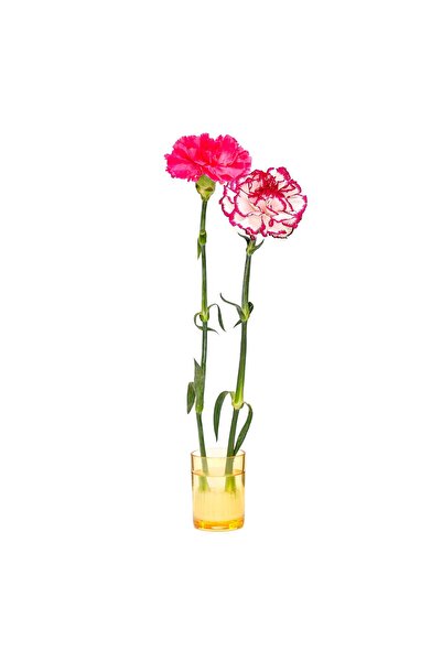 Missi Flora Design-Minimal Amber Glass Vase