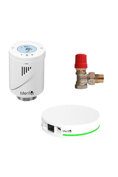 Mentor Kit de robinet termostatic Danfoss cu termostat inteligent pentru radi...