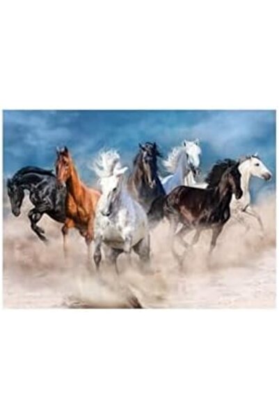 Nacario Nrcrioshop Blue Focus Horses - Puzzle 1000 Pieces 1201248