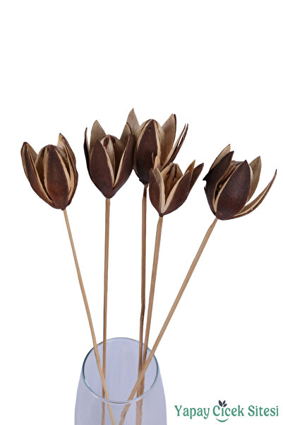 Yapay Çiçek Sitesi Kuru Çiçek Doğal Lily 50 Cm 5li