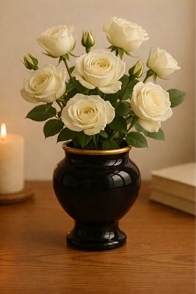 Nacario Nrcrioshop Minimal Ceramic Decorative Vase, Black, Classic Design, 10...